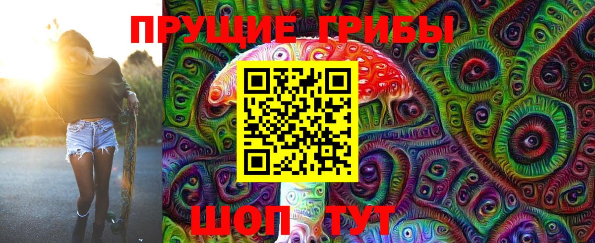Куйбышев  Галлюциногенные грибы MAGIC MUSHROOMS  Вход с VPN 